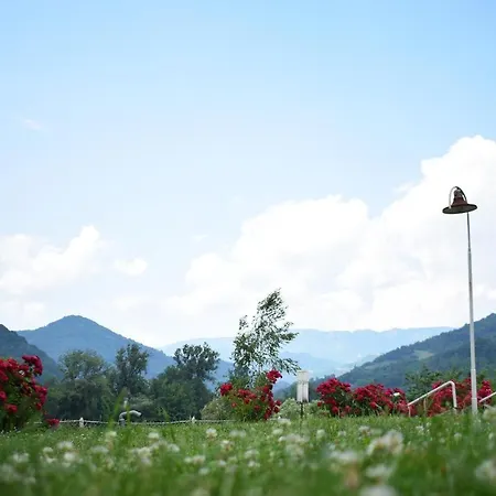 Drina-krivi Vir Maison d'hôtes *