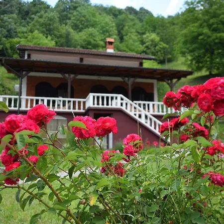 Maison d'hôtes Drina-krivi Vir