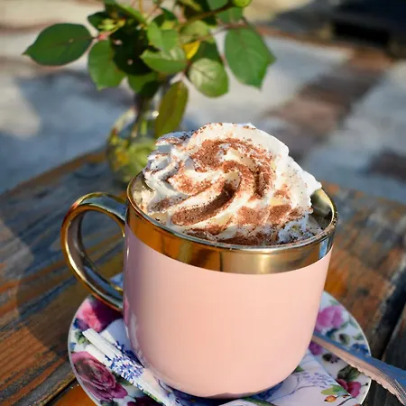 Drina-krivi Vir Гостевой дом