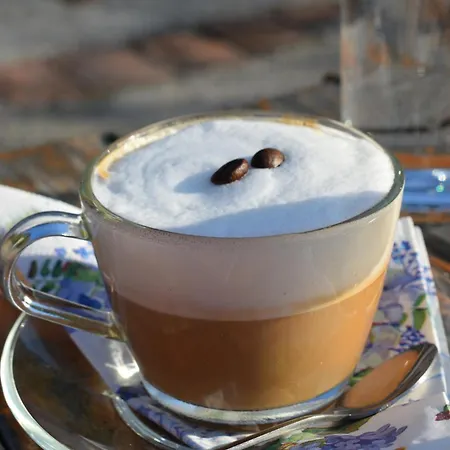 Drina-krivi Vir Гостевой дом Баина-Башта